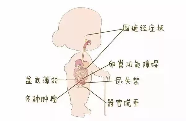 为什么会停经一个月，探究女性生理周期背后的原因