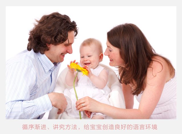 小孩六个月能否离婚？法律与情感的交织