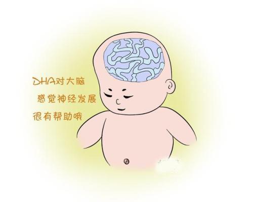 DHA从几个月开始吃，了解宝宝营养需求，助力健康成长