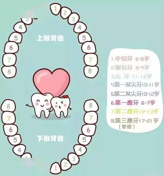 孩子十个月了还未出牙，原因、影响与应对策略