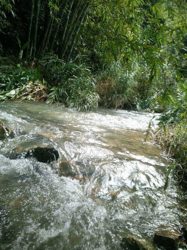 广东省山坑螺养殖，探索与前景