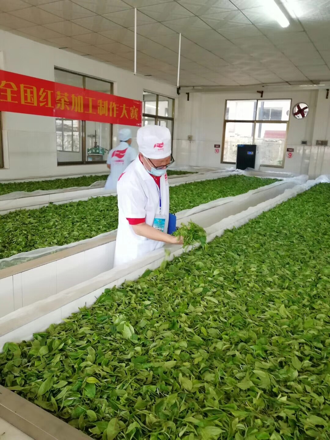 广东贵茶产业有限公司，引领广东茶叶产业的新篇章