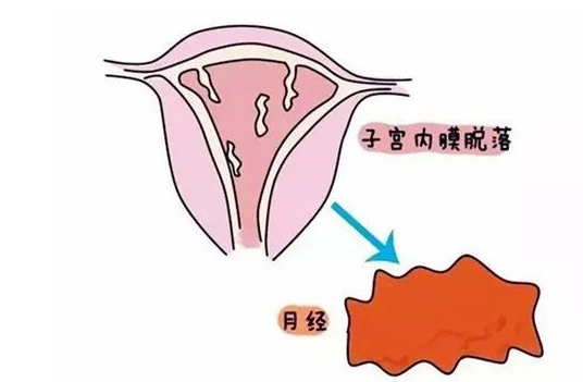 人流半个月了可以舔吗？——关于人流恢复与性行为的问题探讨