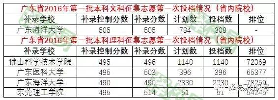 广东省一模成绩475，挑战与机遇并存