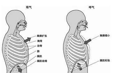 孕七个月肋骨疼怎么办，原因分析及应对建议